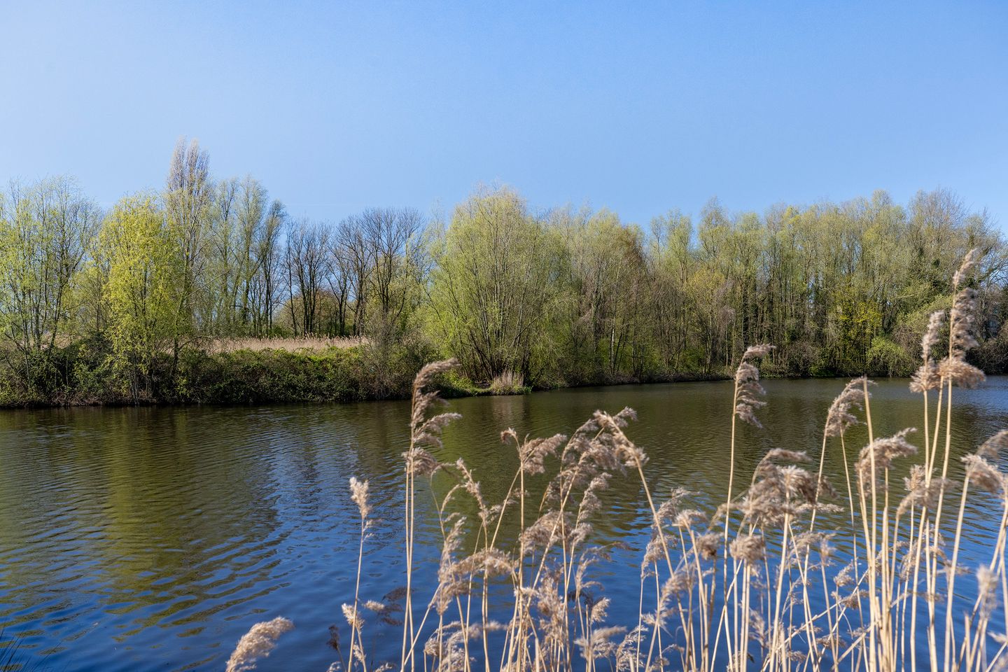 Foto 34 van Rozenburgsestraat 44-B