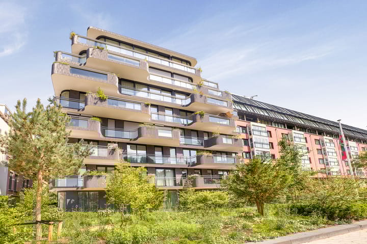 Foto 2 van Pieter de Hoochstraat 11-D1