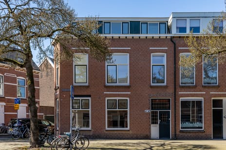 Rozenburgsestraat thumbnail