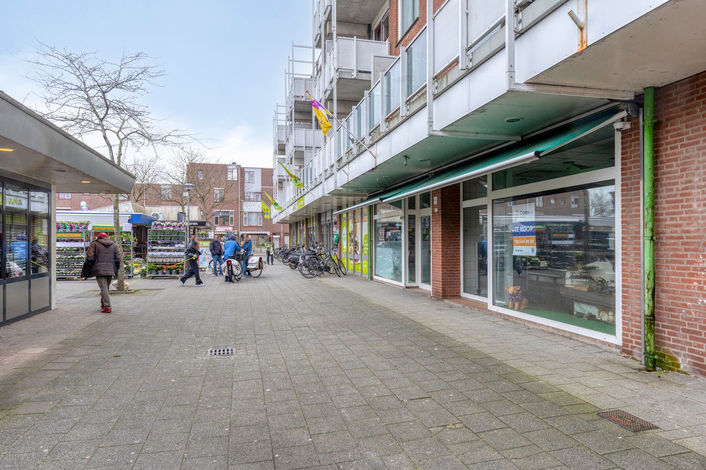 View photo 5 of Geuzenplein 11