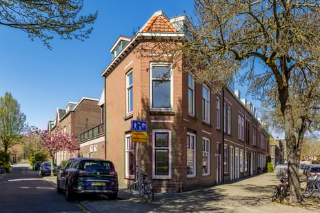 Rozenburgsestraat thumbnail