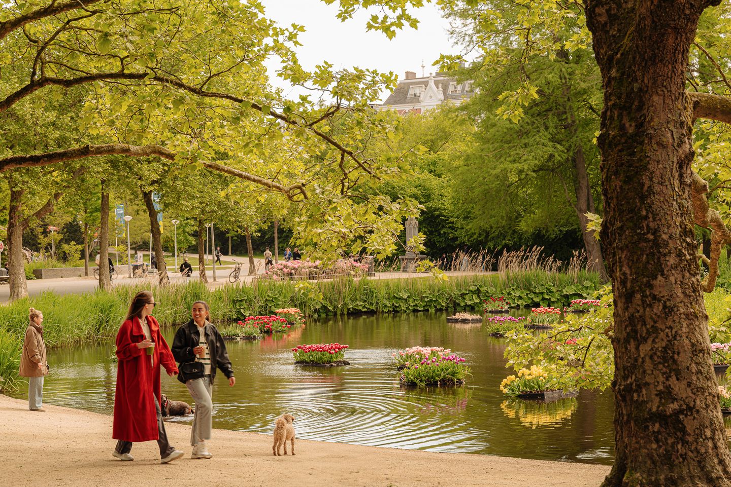 View photo 5 of Overtoom 570-H