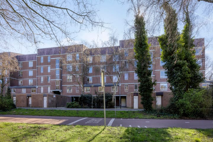 Liendenhof 241 main image