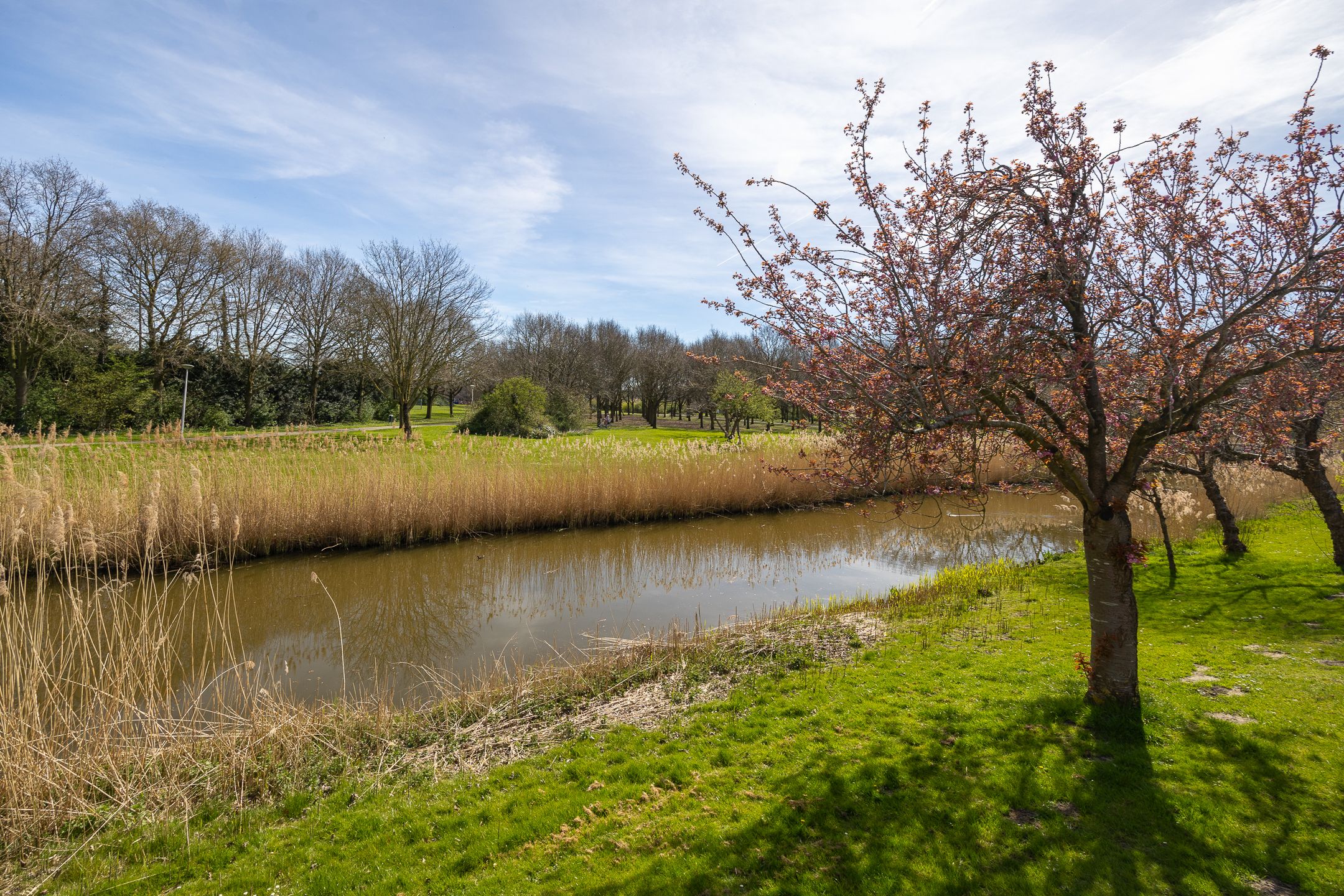 Photo 39 of Windjammer 26