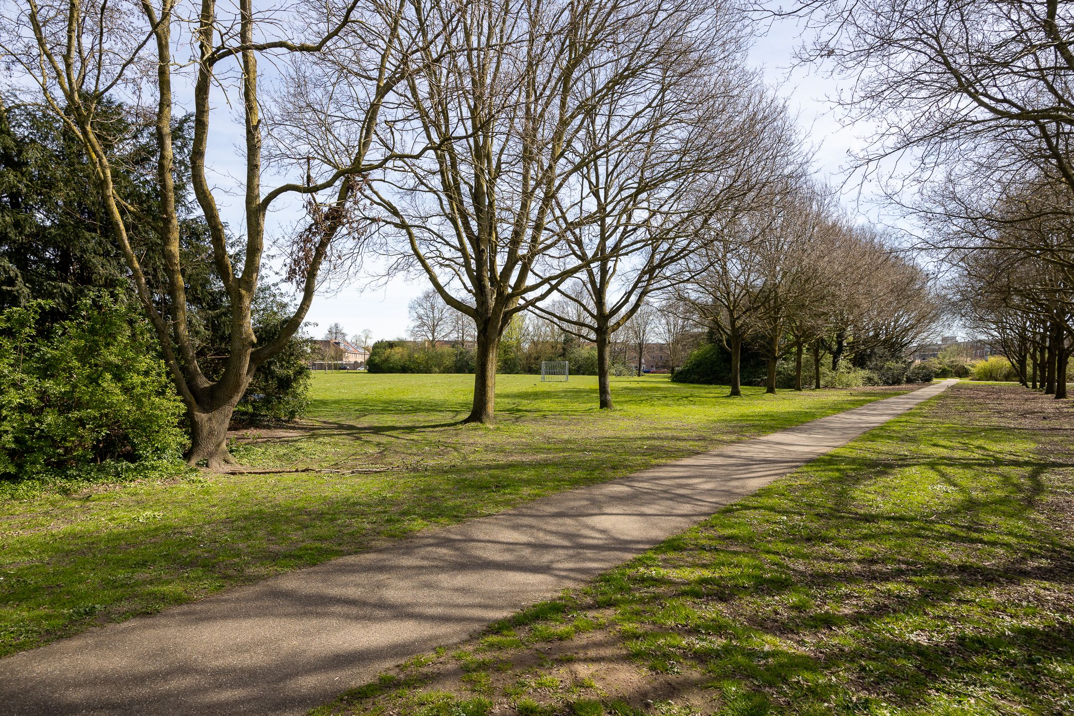 Photo 42 of Windjammer 26