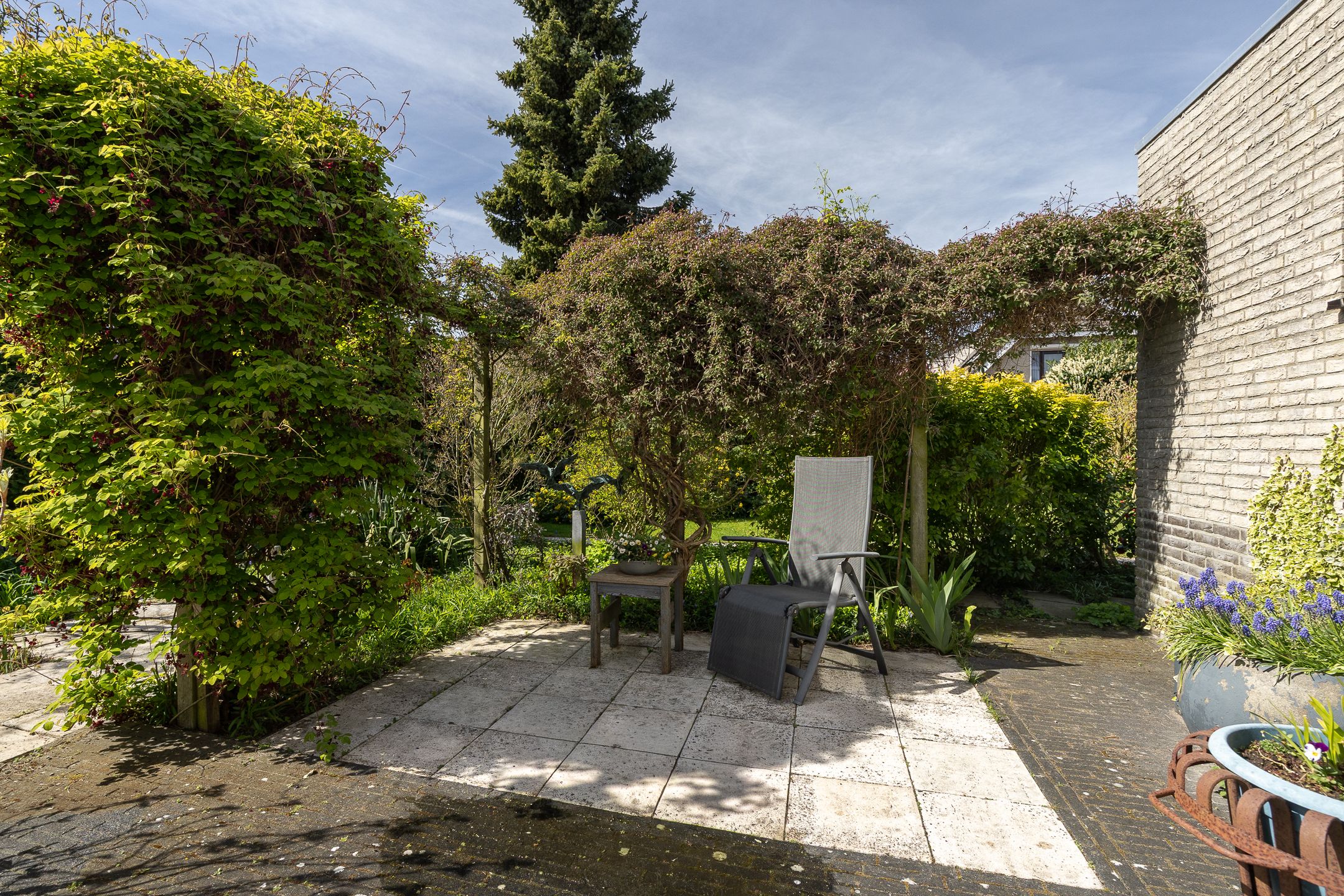 Photo 36 of Windjammer 26