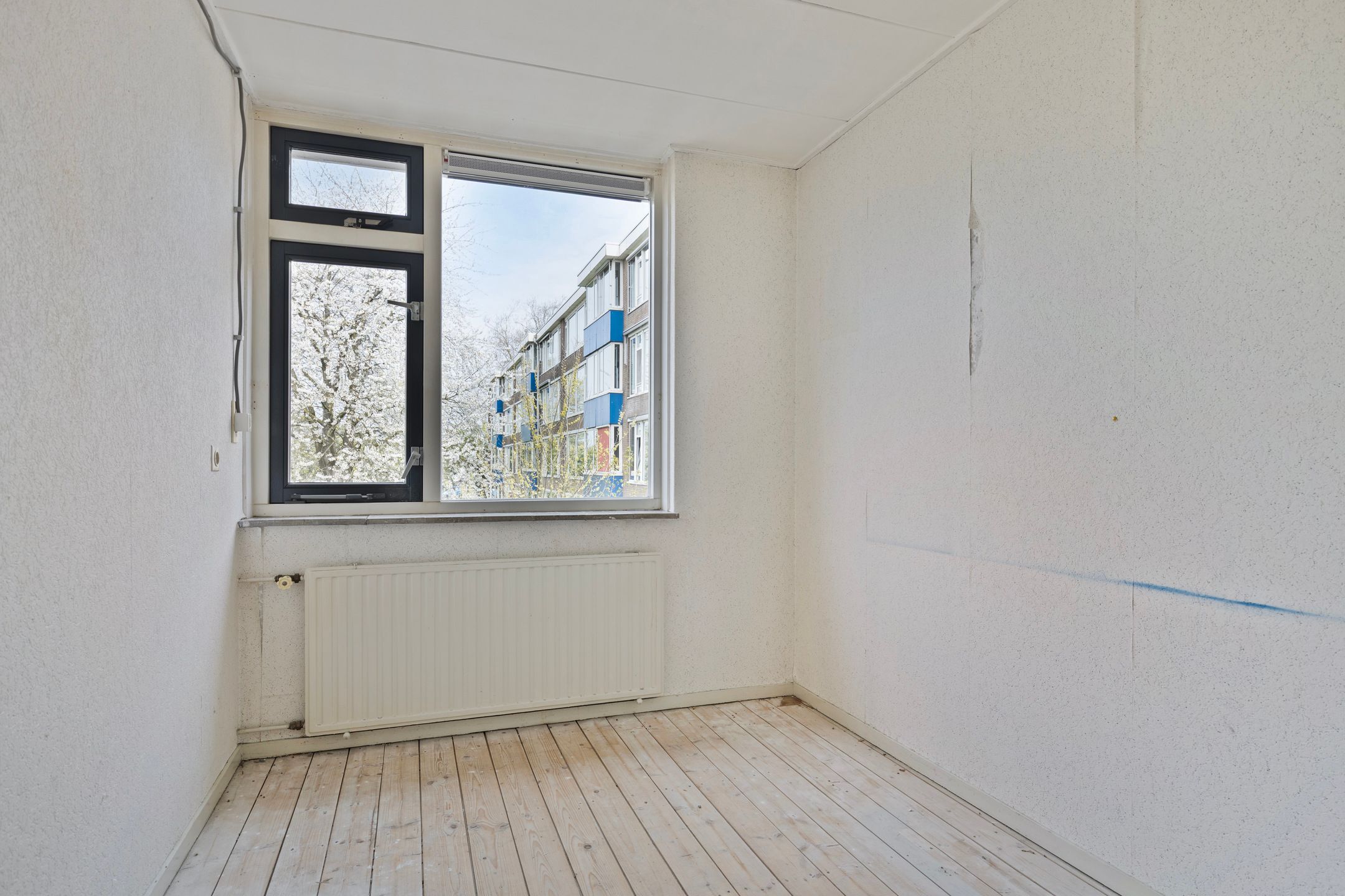 Foto 18 van Wielingenstraat 24