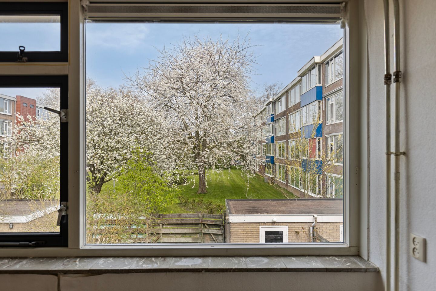 Foto 14 van Wielingenstraat 24