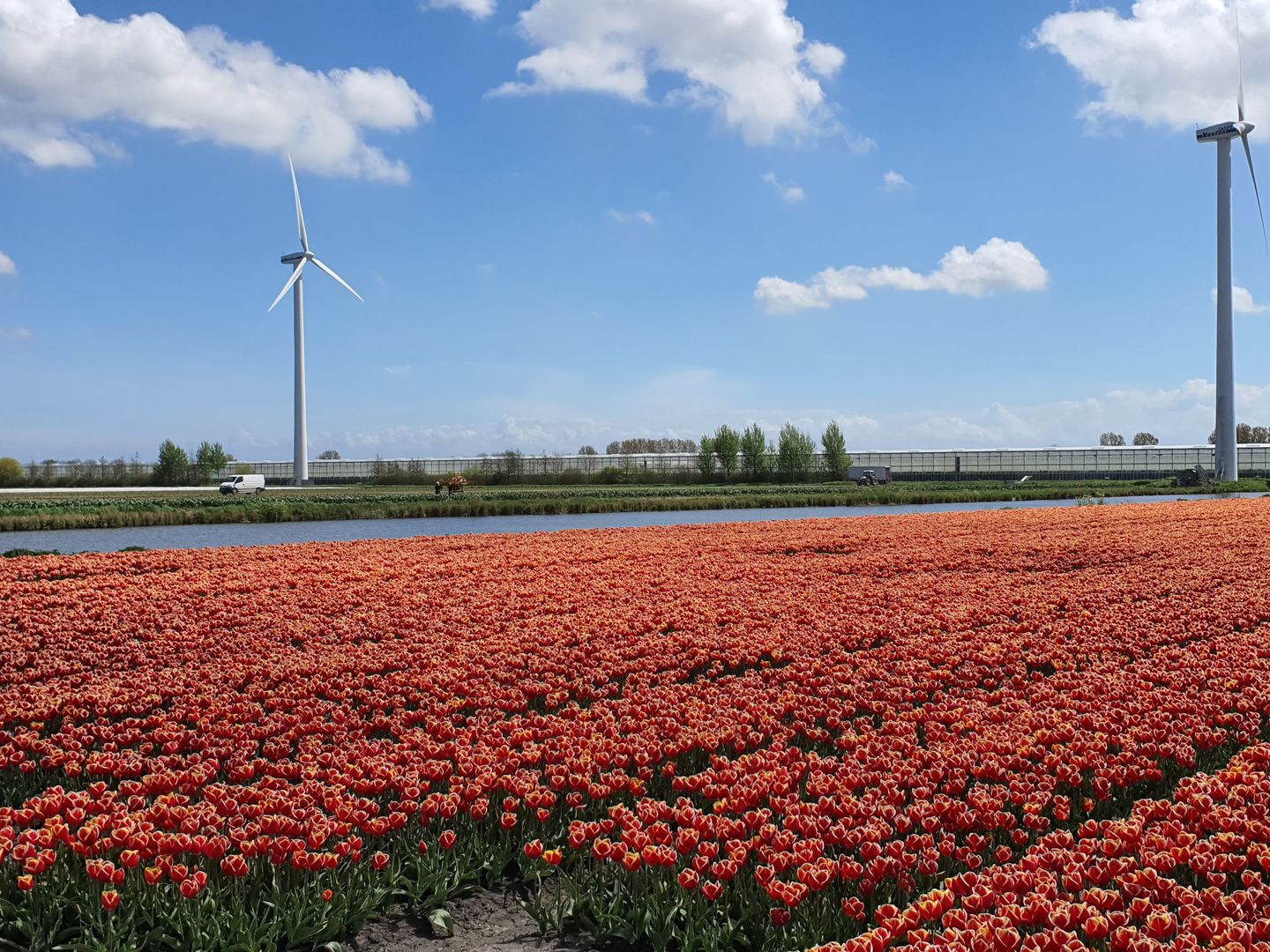 Foto 40 van Dijkweg 370