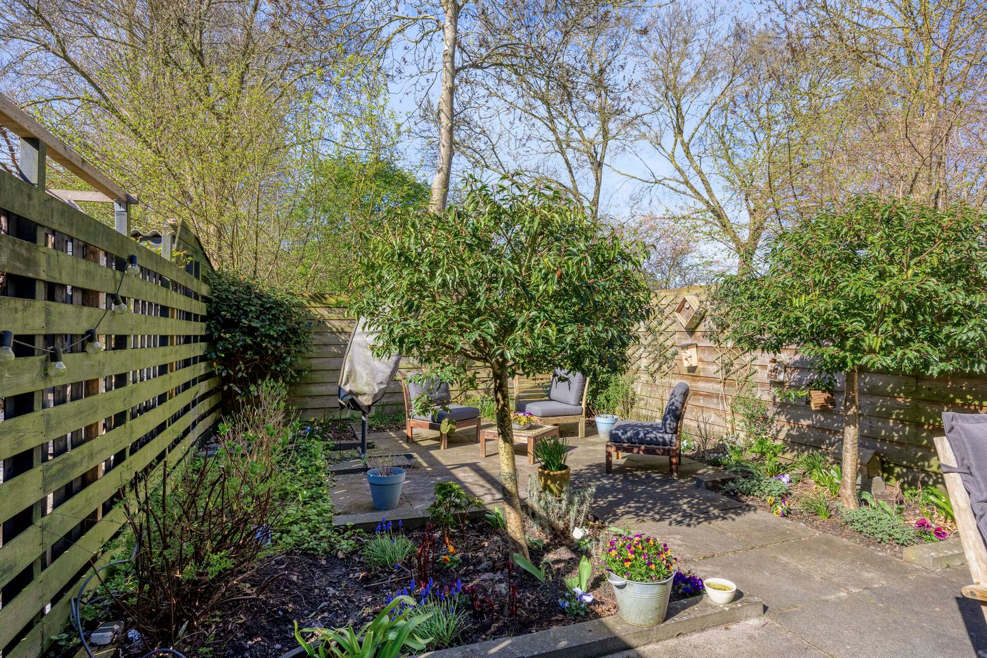 Foto 25 van Kosterstuin 156