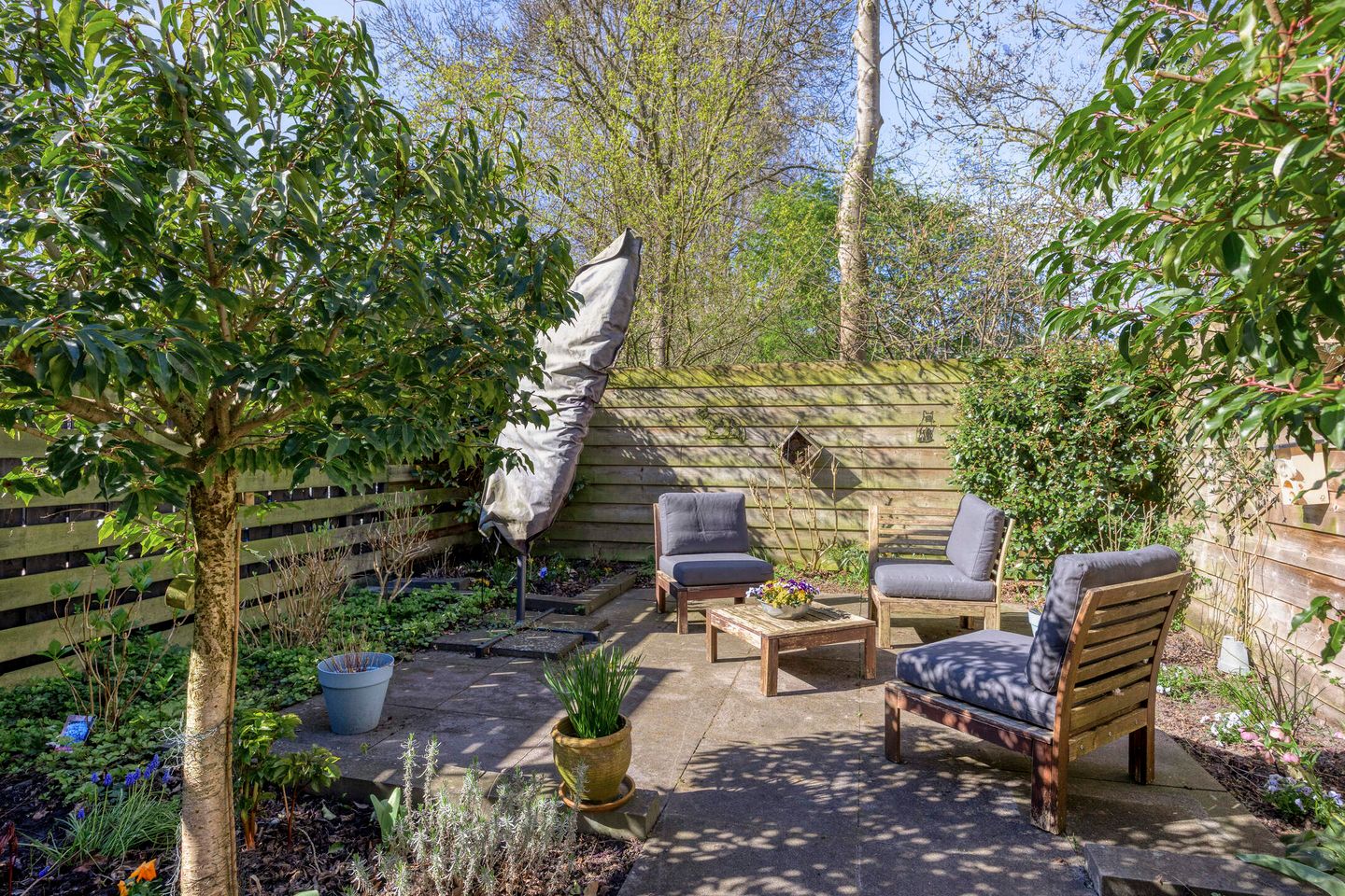 Foto 5 van Kosterstuin 156