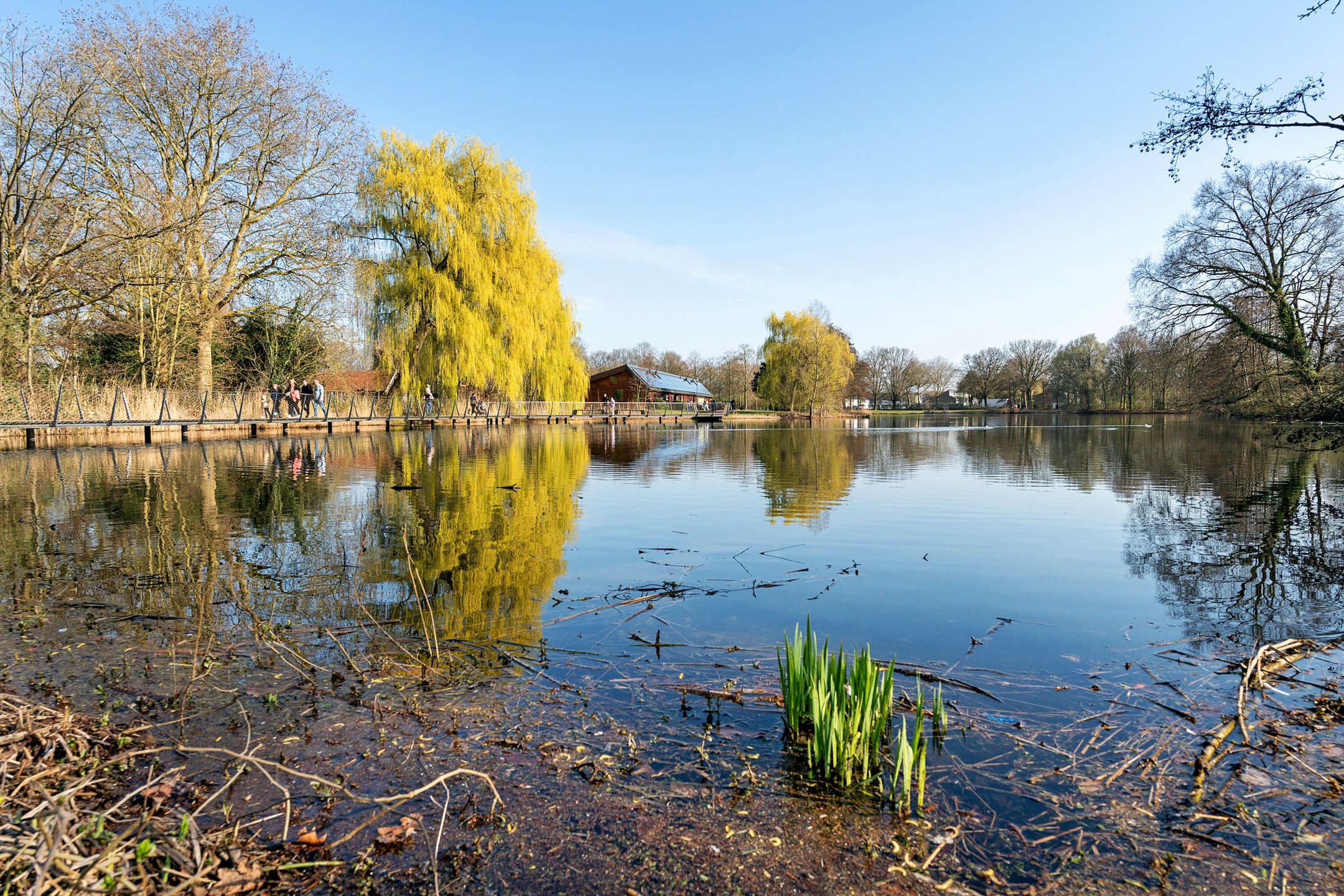 Foto 48 van De Meesterstraat 61