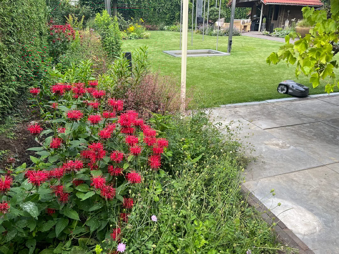 Foto 67 van Debbeshoek 14-B