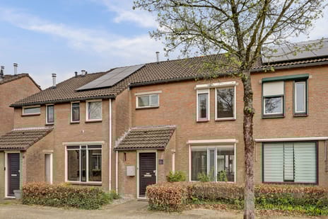 van Aerlestraat thumbnail