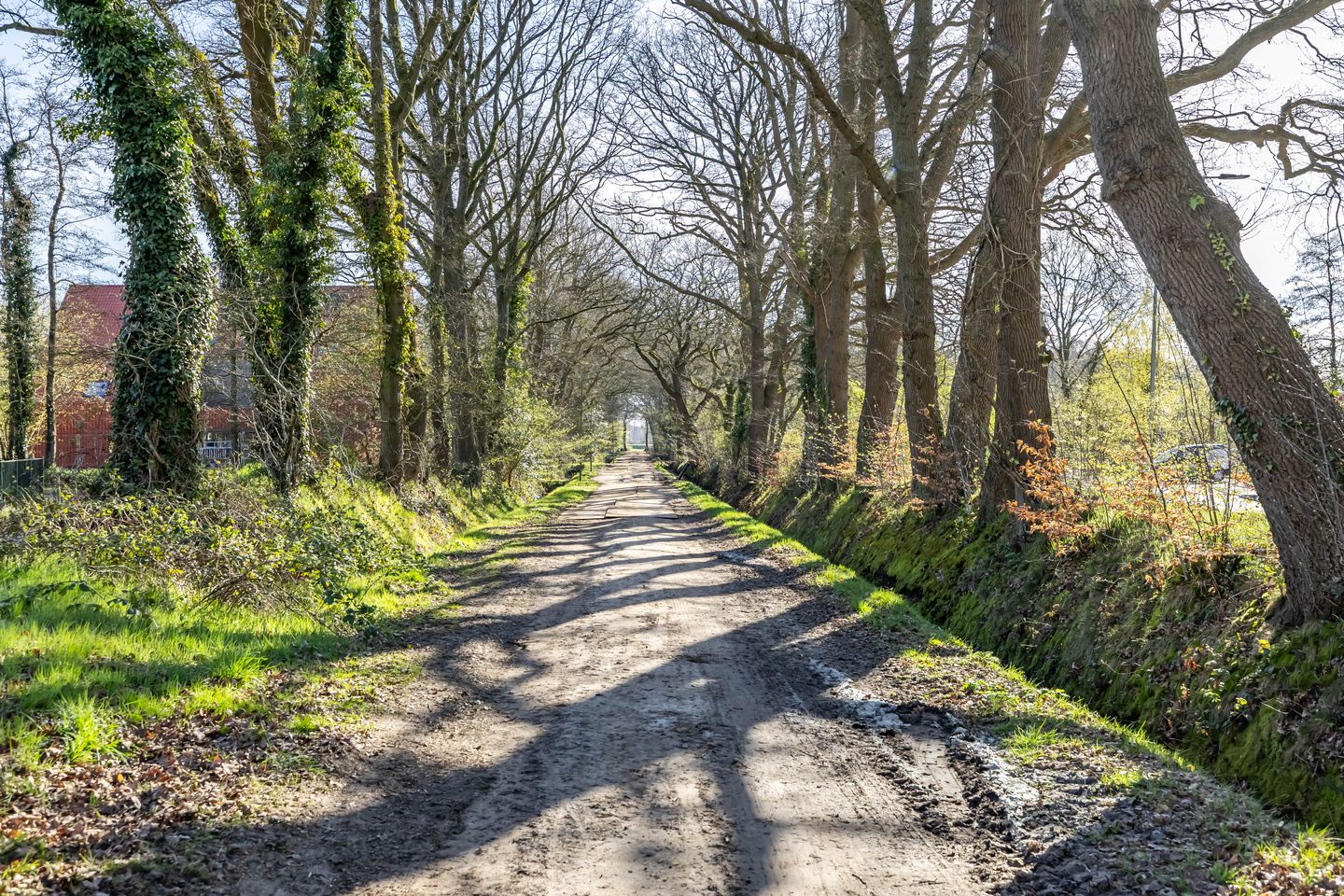 Photo 55 of Tynaarlosestraat 30-A