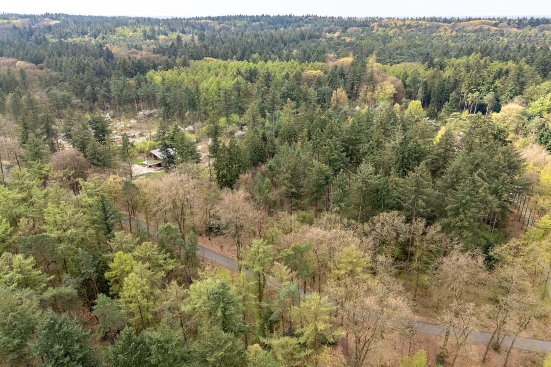 Foto 41 van Fazantenlaan 2