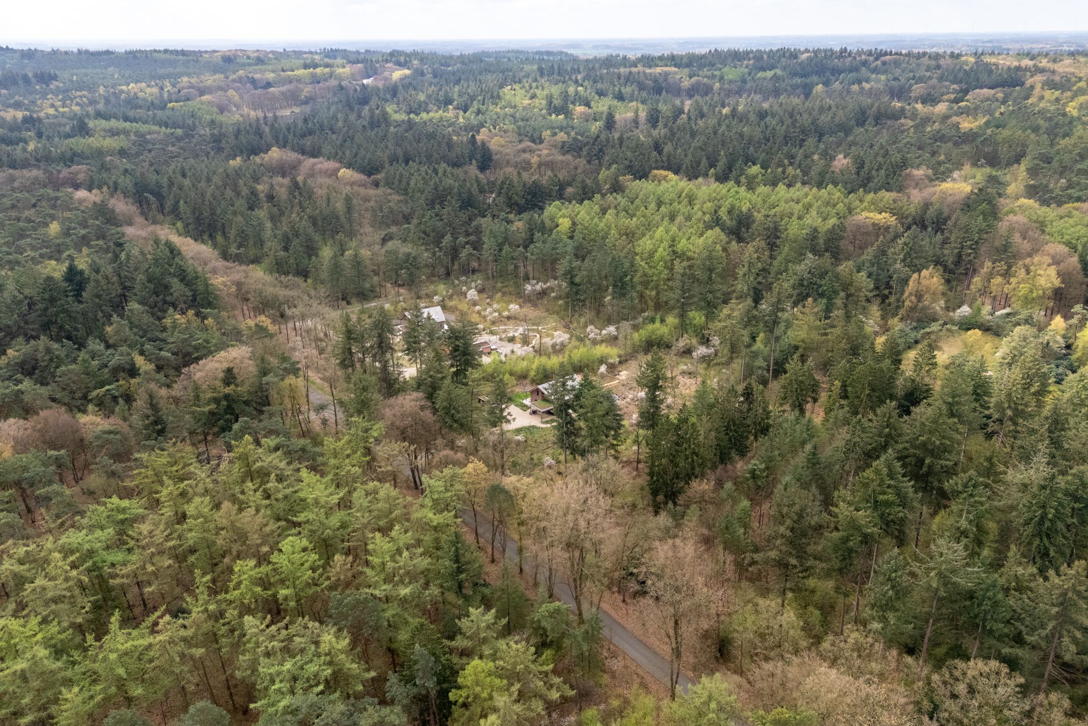 Foto 42 van Fazantenlaan 2