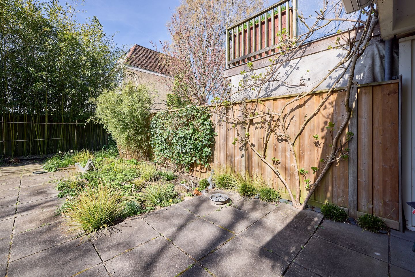 Foto 35 van Ereprijsstraat 127