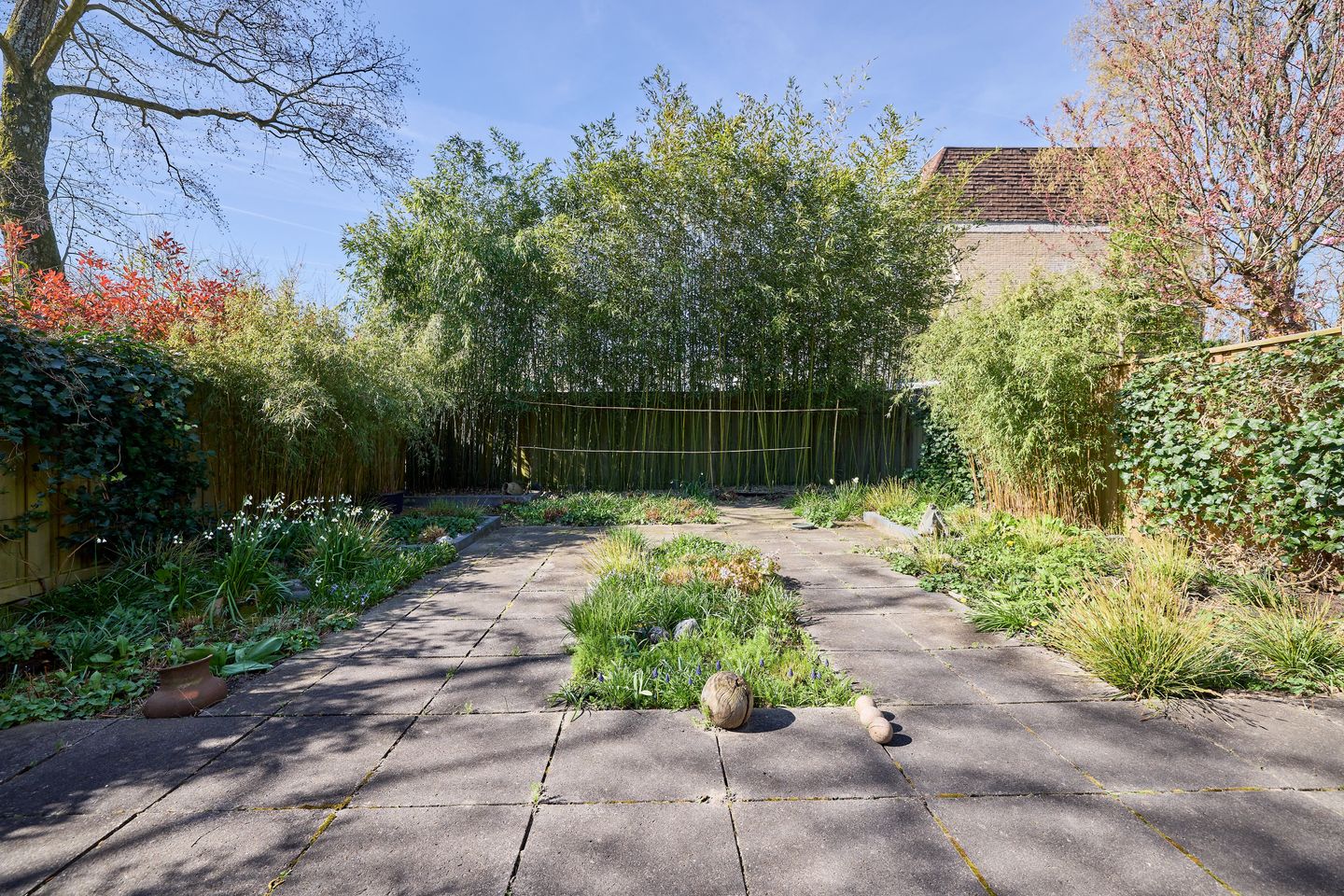 Foto 34 van Ereprijsstraat 127