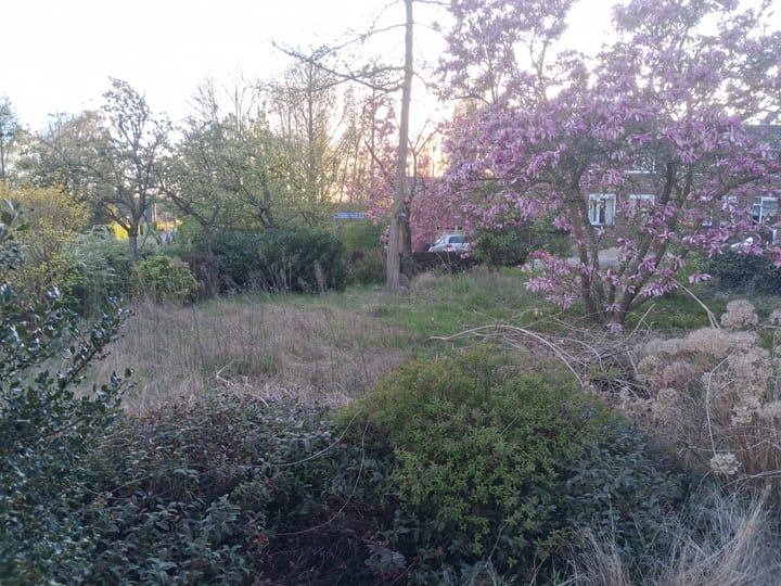 Photo 3 of Elmpterbaan 5