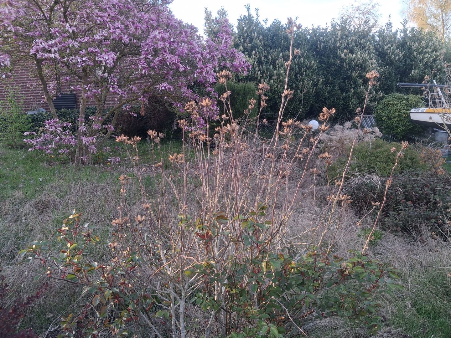 Foto 4 van Elmpterbaan 5