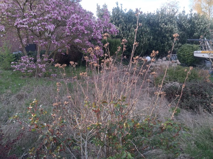 Photo 4 of Elmpterbaan 5