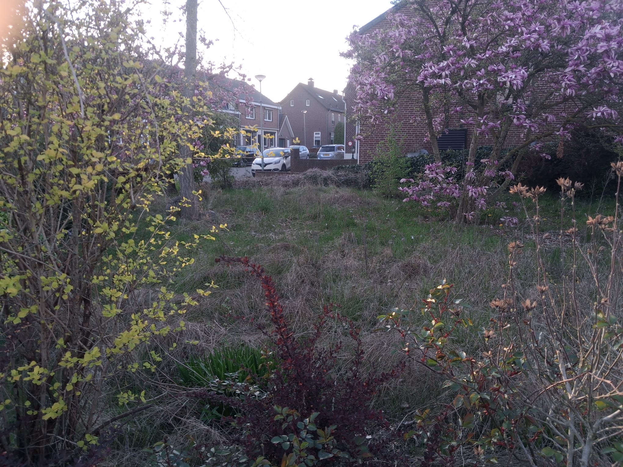 Foto 6 van Elmpterbaan 5