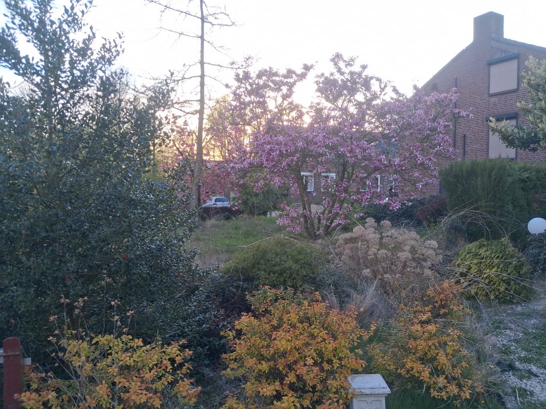 Foto 7 van Elmpterbaan 5