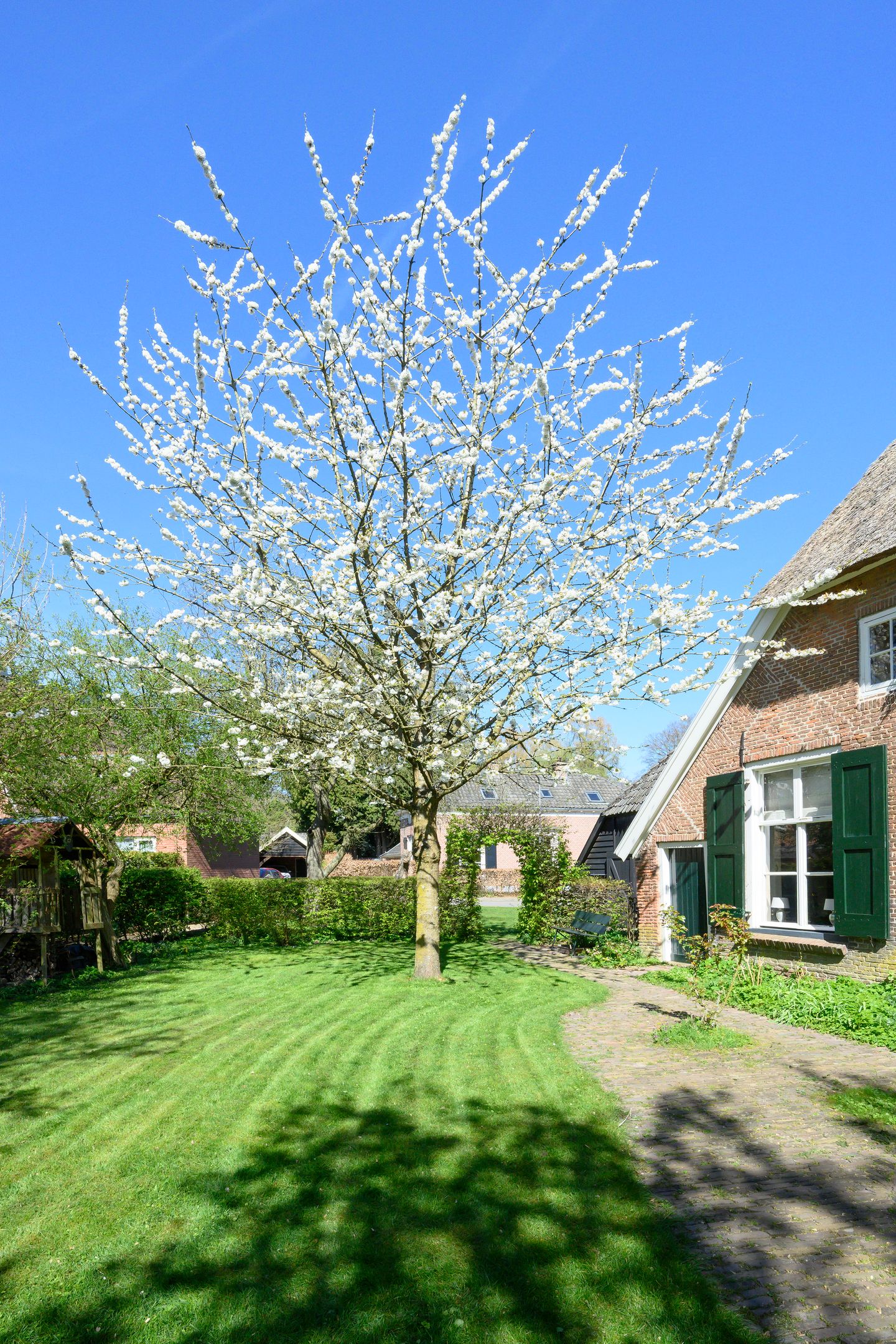 Foto 49 van Binnenweg 32