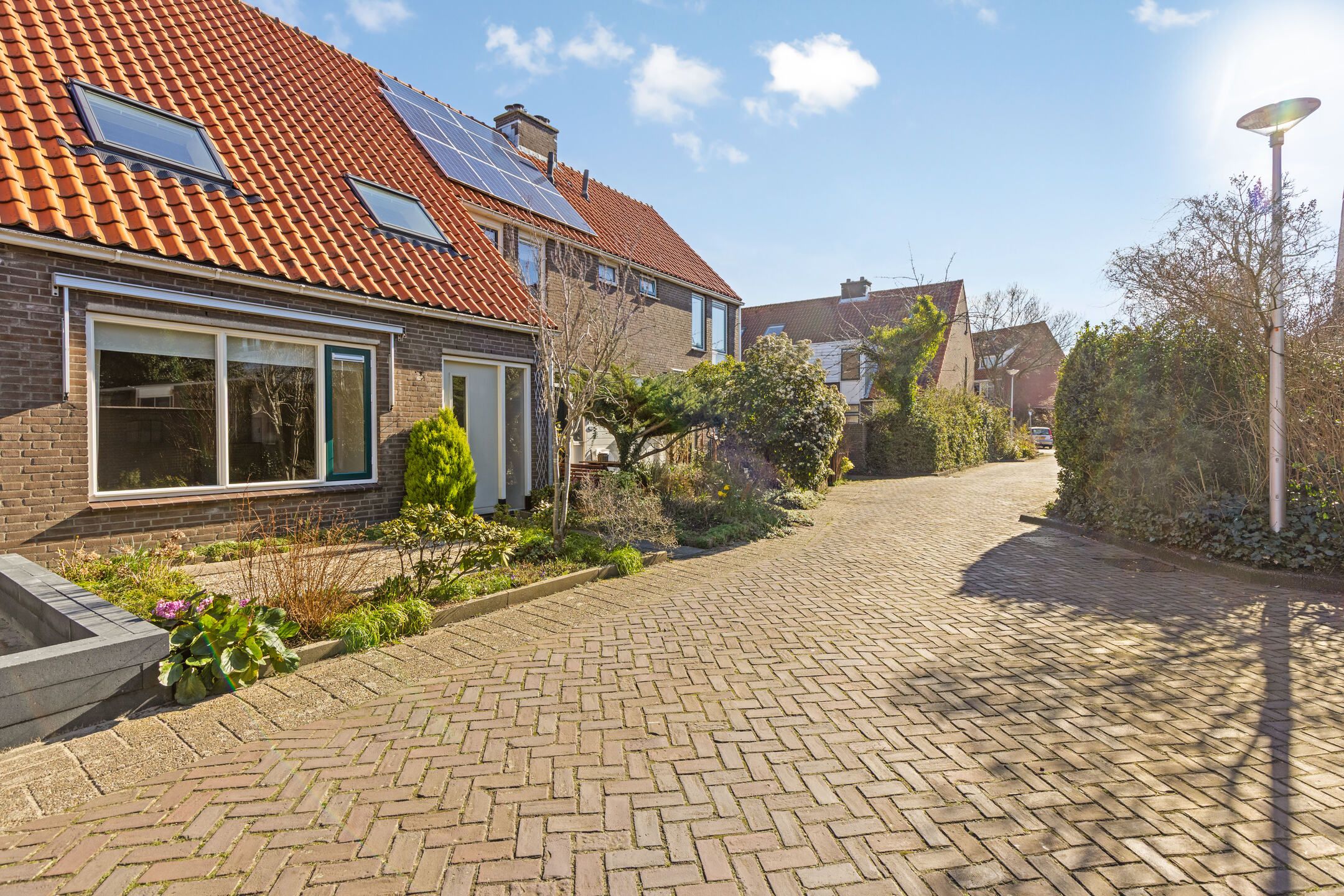 Foto 24 van Zwanebloem 11