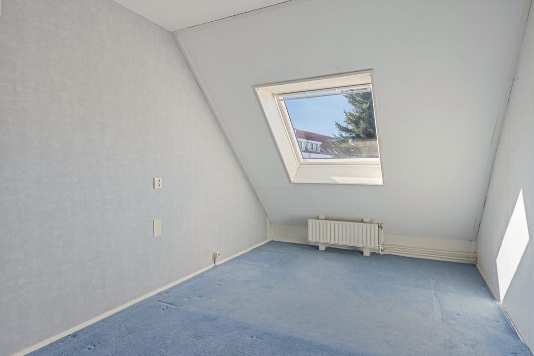 Foto 11 van Zwanebloem 11