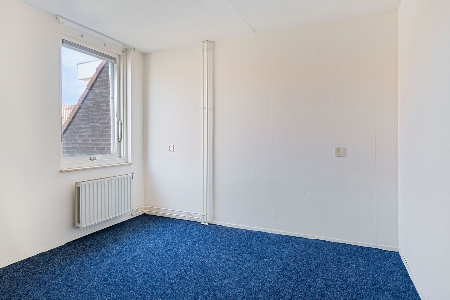 Foto 14 van Zwanebloem 11