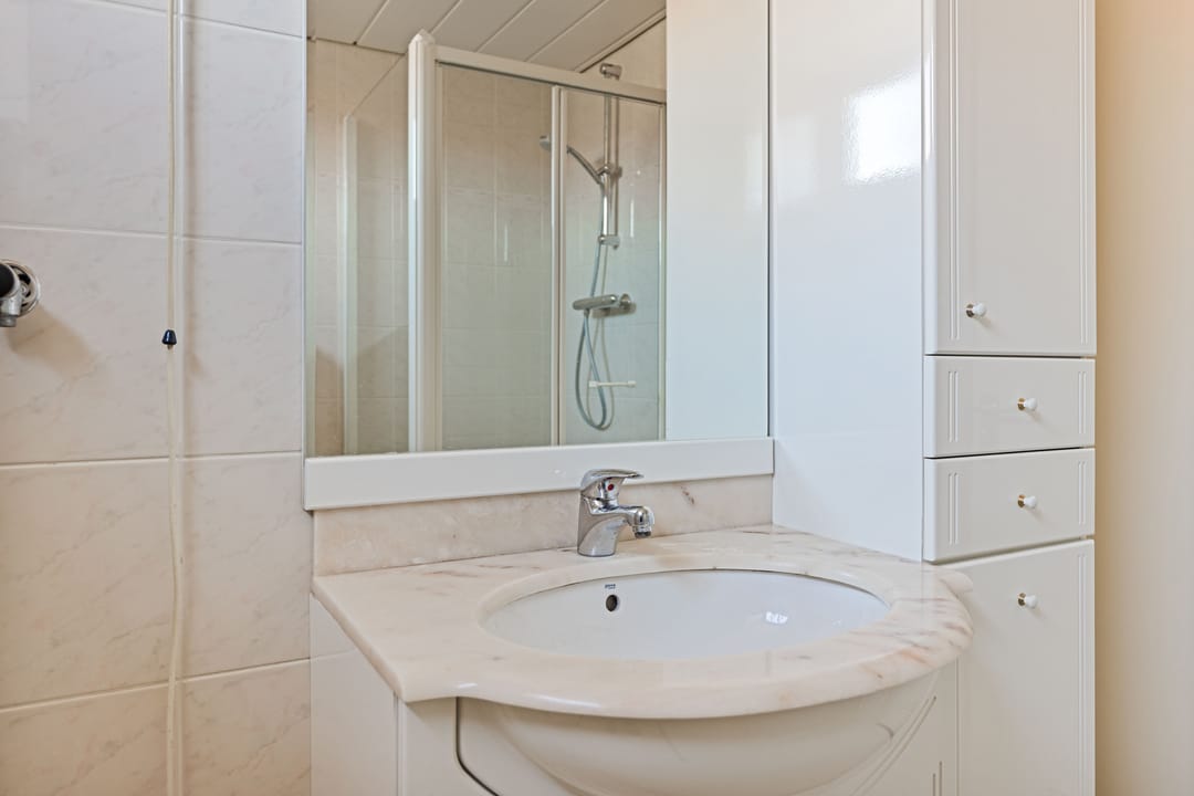 Foto 17 van Zwanebloem 11