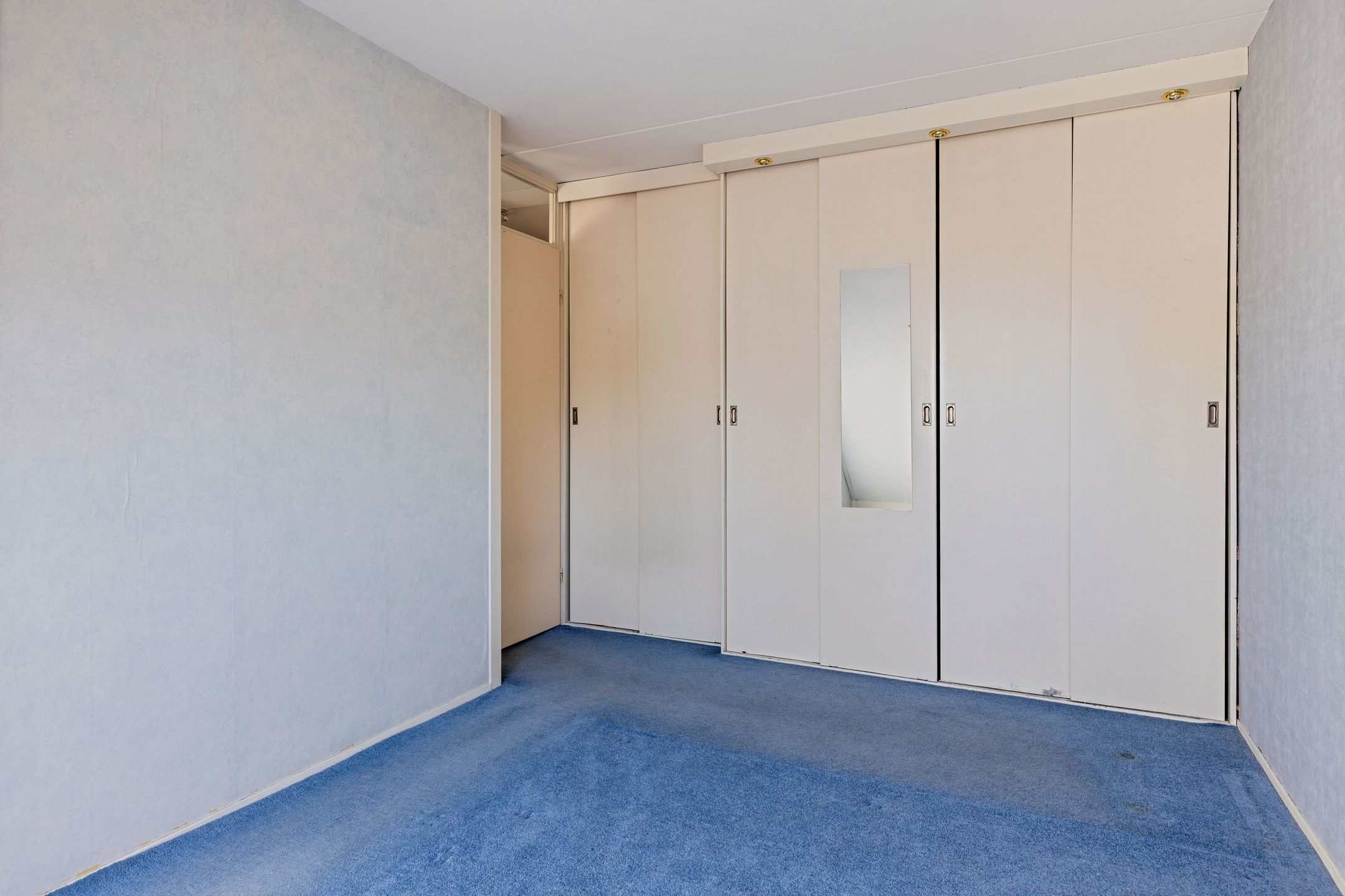 Foto 12 van Zwanebloem 11