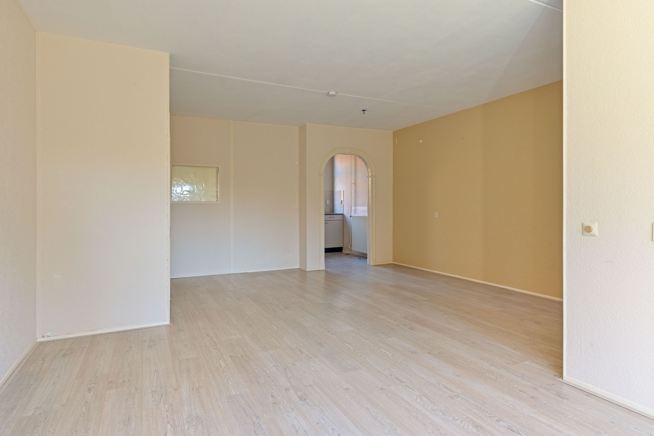 Foto 3 van Zwanebloem 11