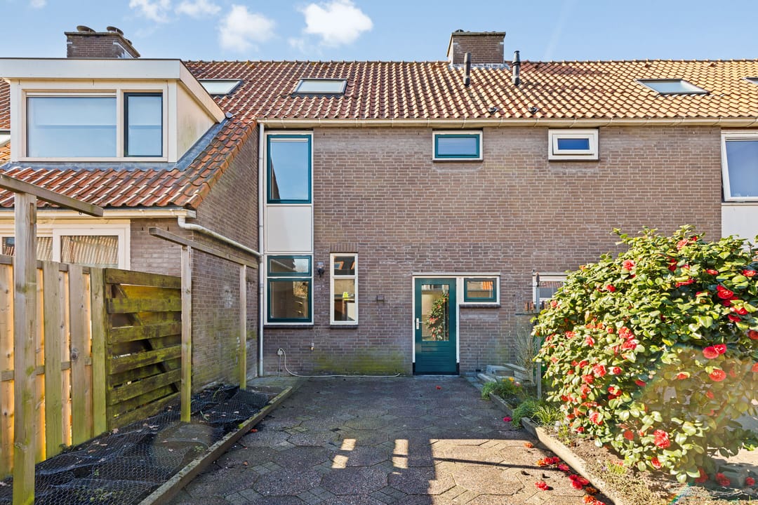 Foto 2 van Zwanebloem 11