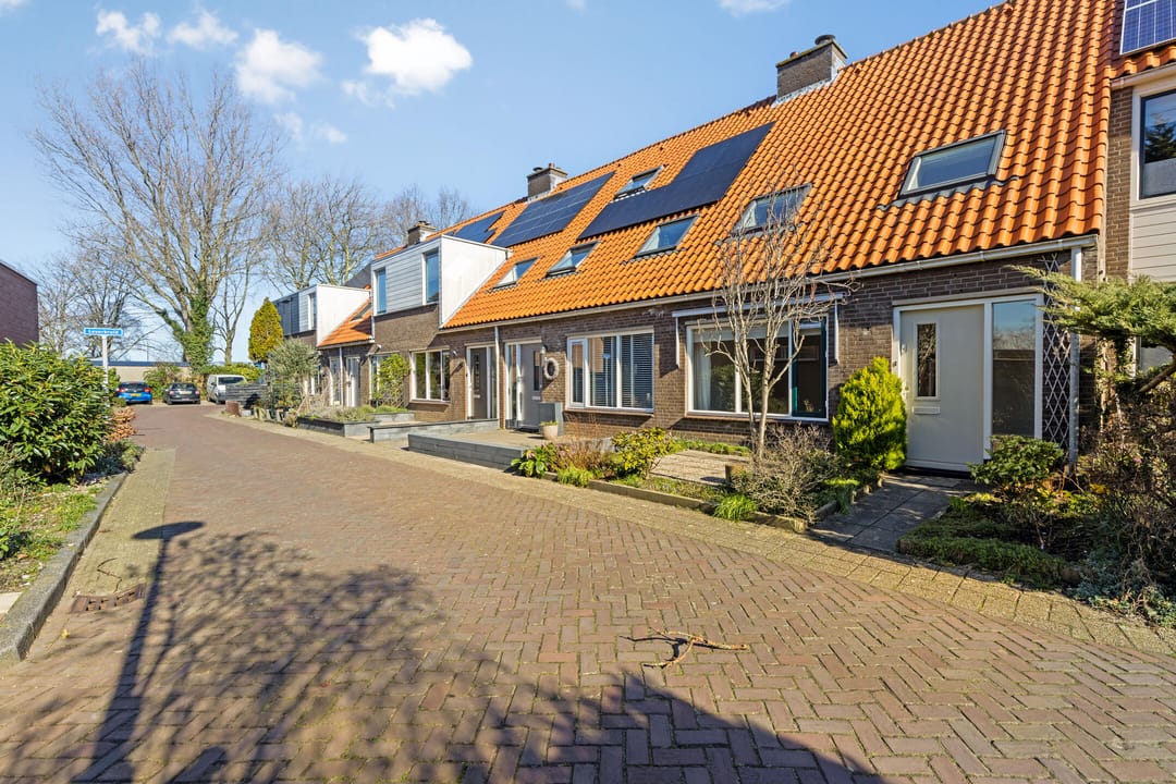 Foto 23 van Zwanebloem 11