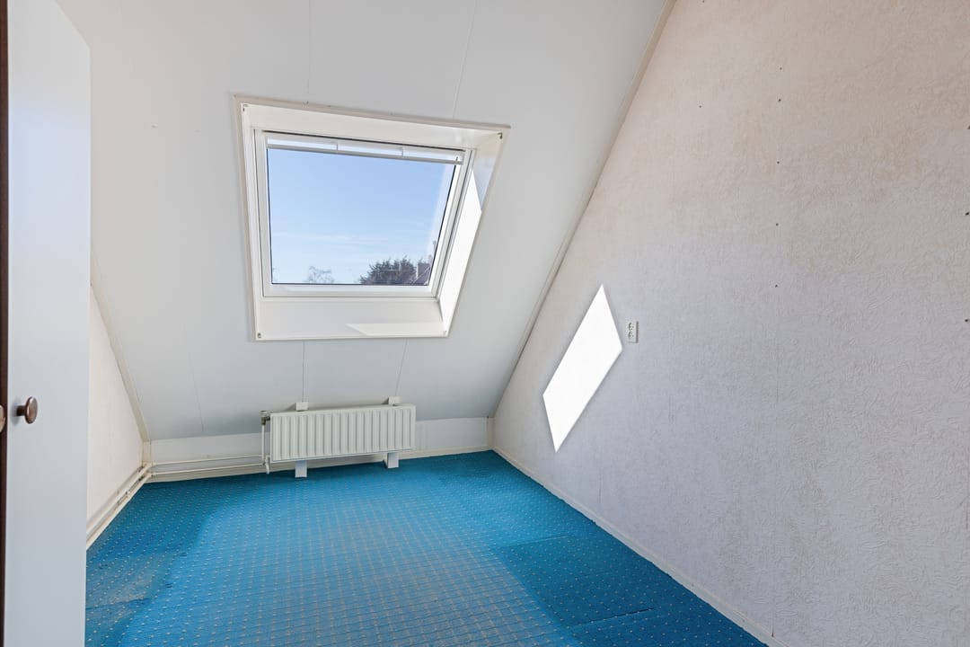 Foto 13 van Zwanebloem 11