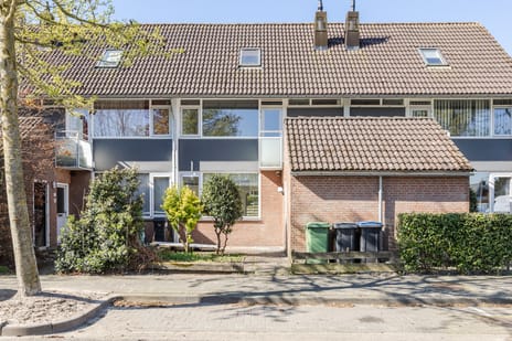 undefined main image