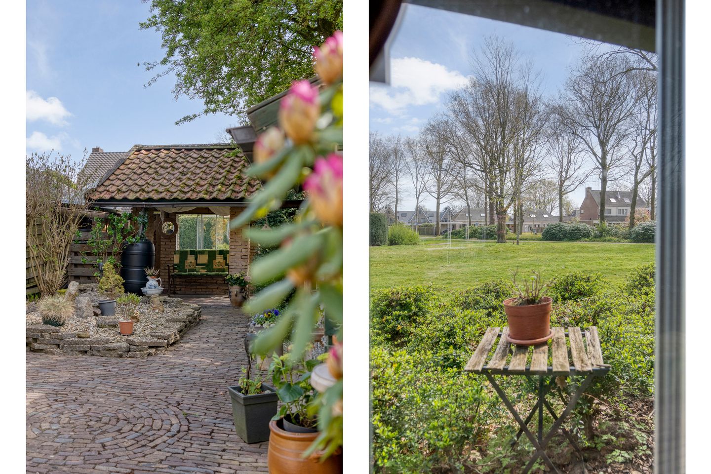 Foto 50 van de Meibree 8