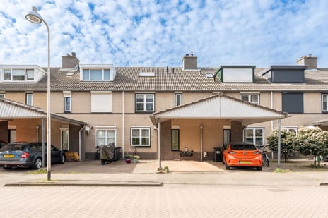 undefined main image