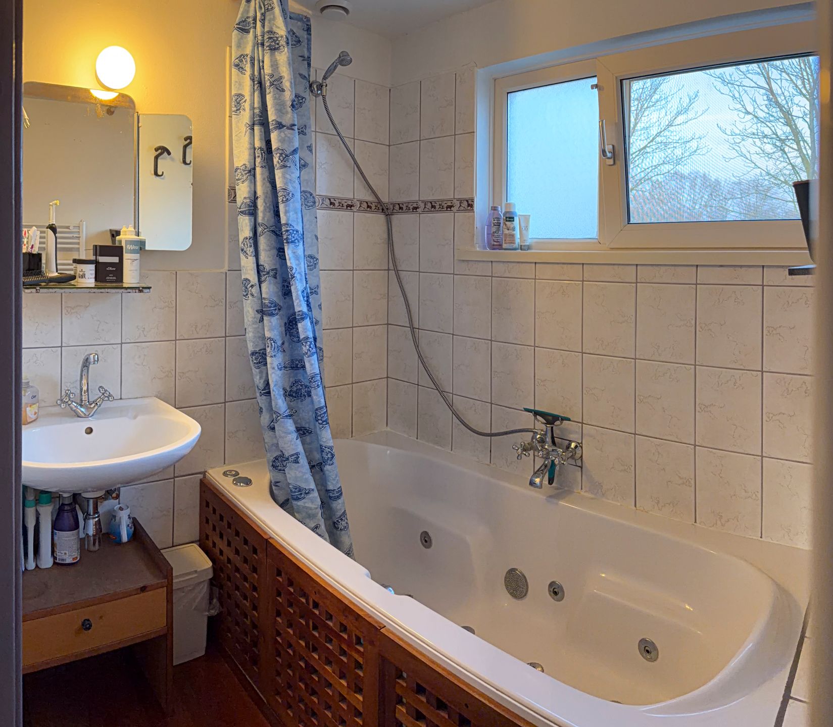 Foto 24 van Johannes Vermeerlaan 20