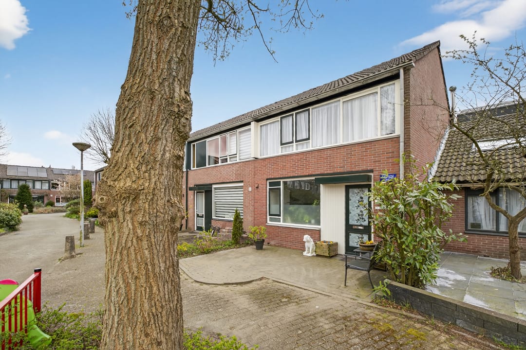 Foto 41 van Lijzijde 4