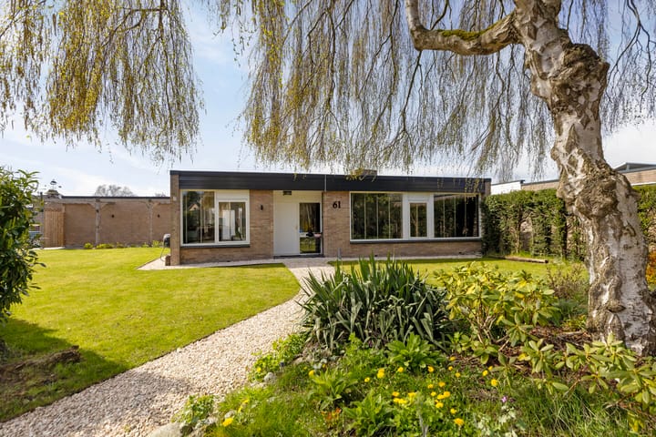 Goldbergsingel 61 main image