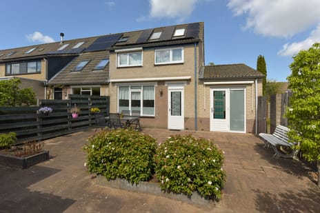 undefined main image