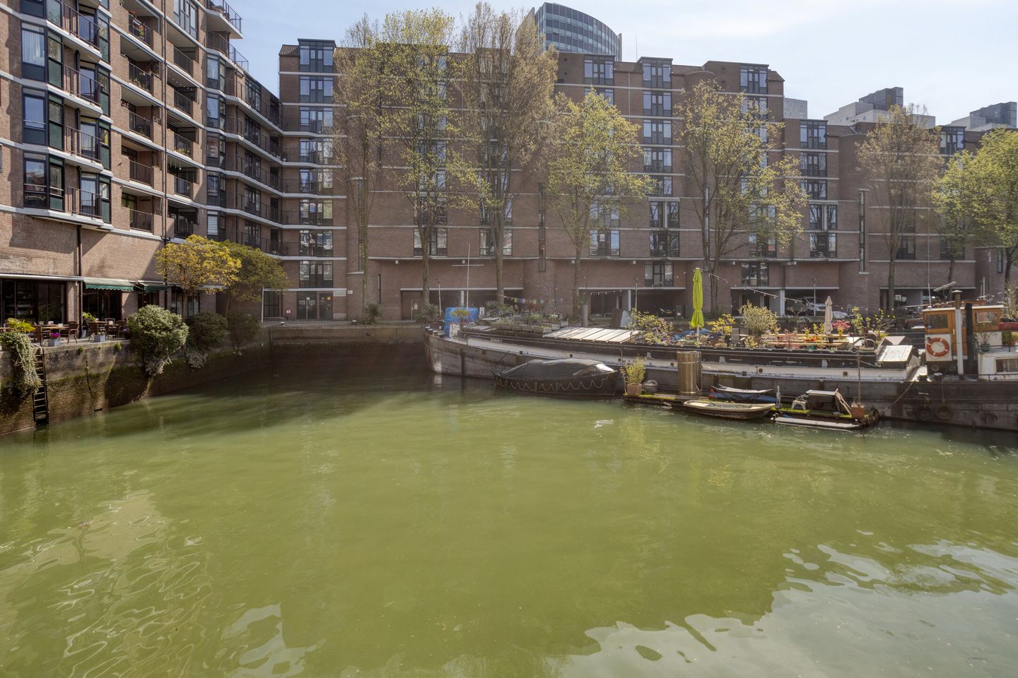 Spacious three-room apartment with south-facing balcony in Rotterdam centre — 35