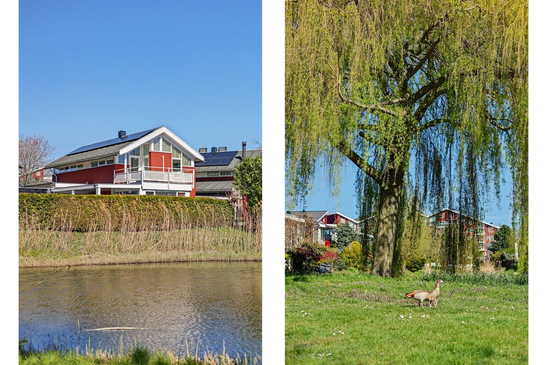 Foto 43 van Umefors 8