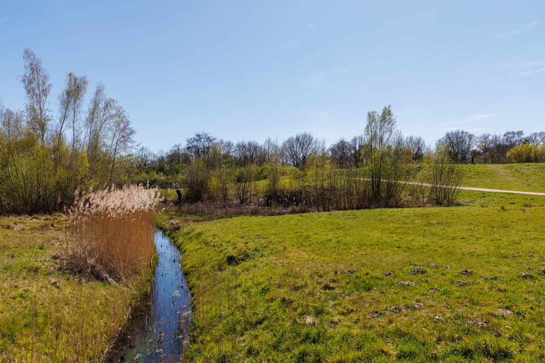 Foto 41 van Elbertbos 1