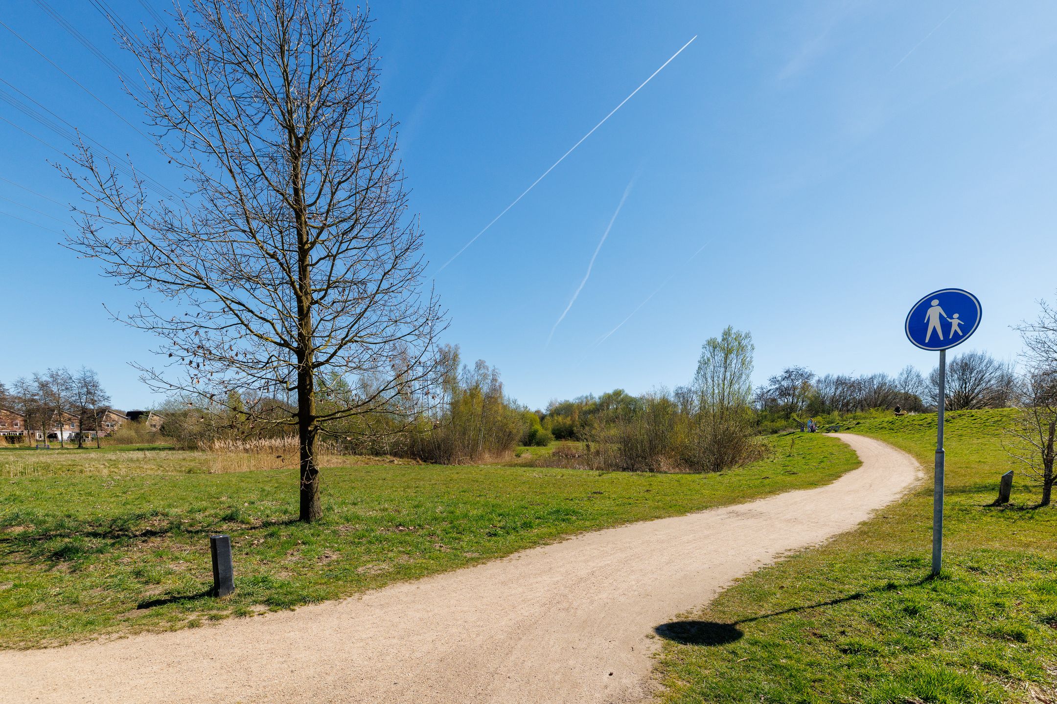 Foto 39 van Elbertbos 1