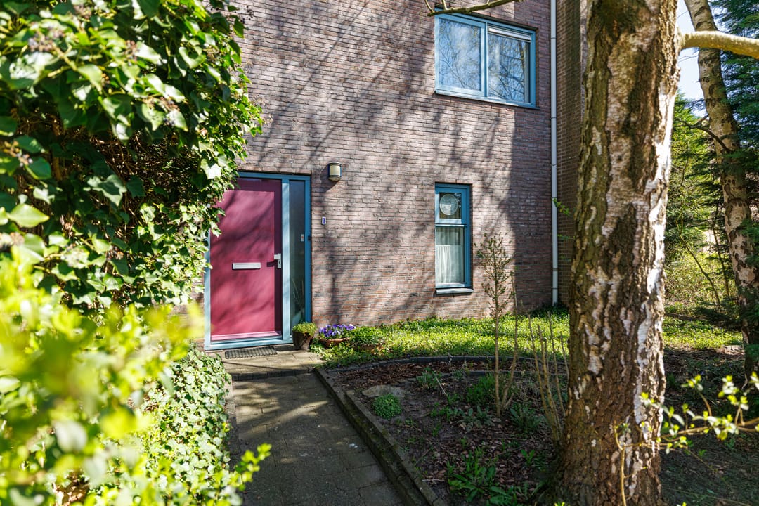 Foto 8 van Elbertbos 1